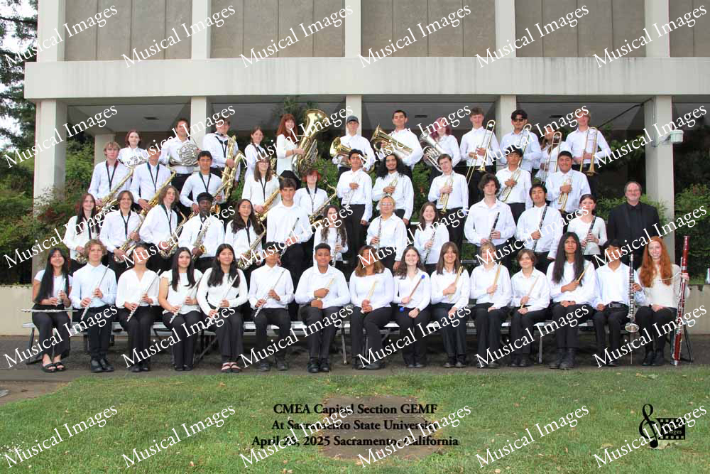 Musical Images